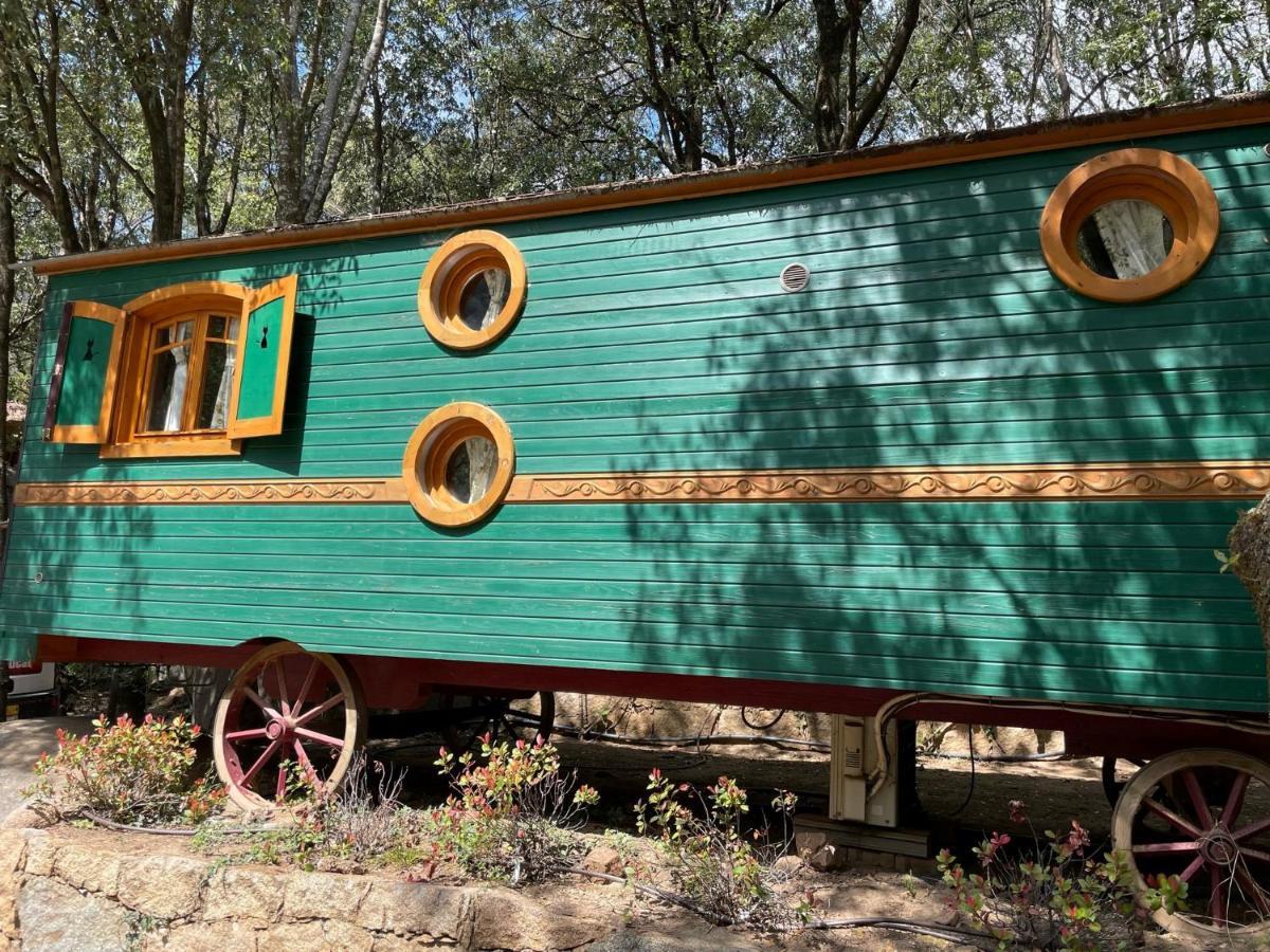 Camping Les Oliviers Porto  Eksteriør billede