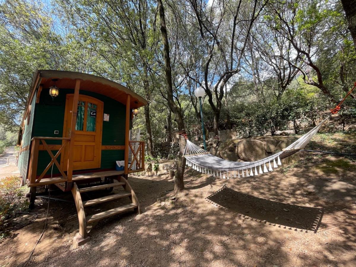 Camping Les Oliviers Porto  Eksteriør billede