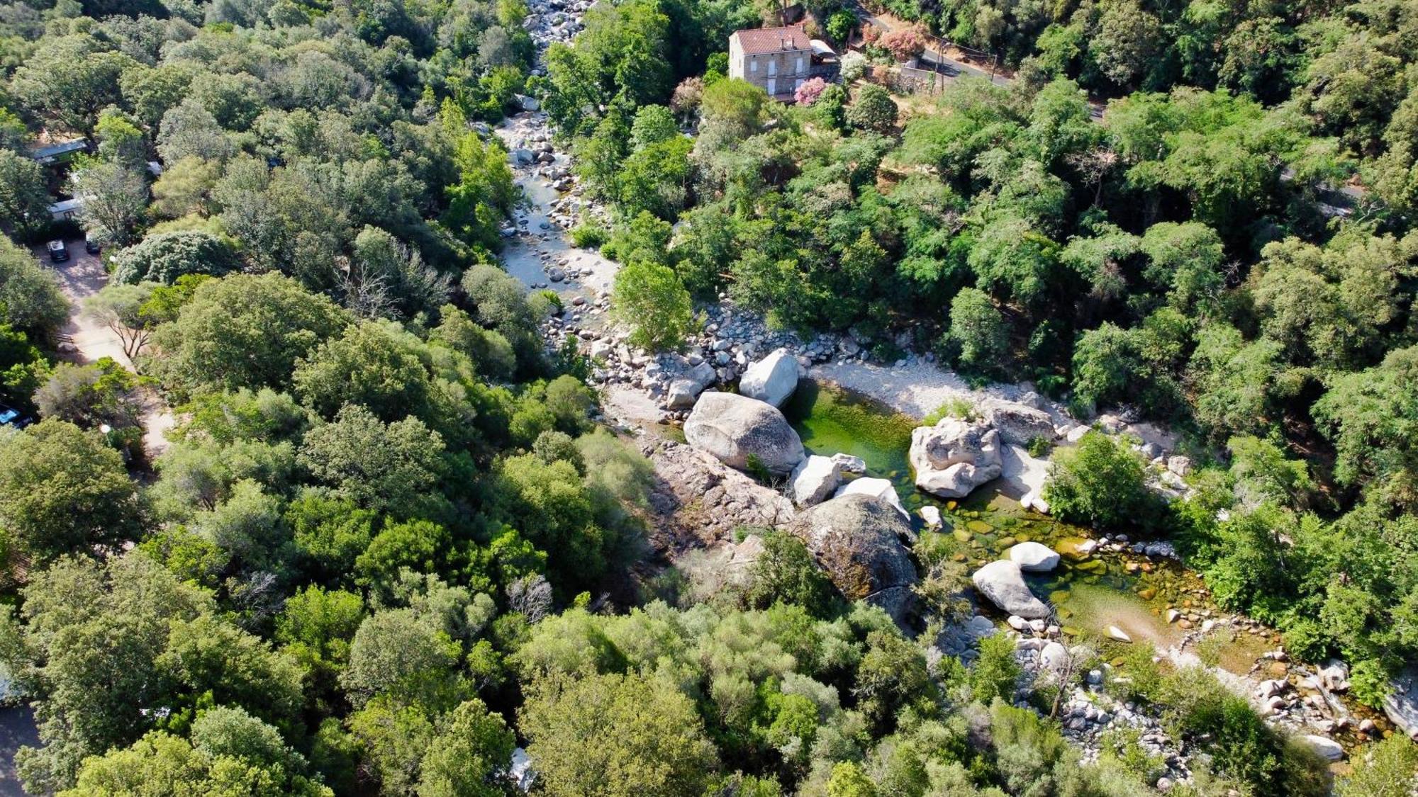 Camping Les Oliviers Porto  Eksteriør billede