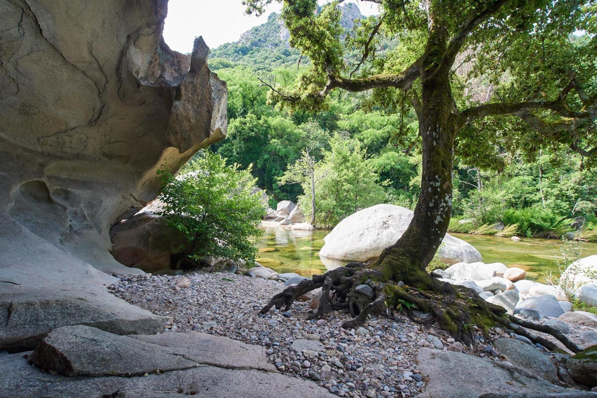 Camping Les Oliviers Porto  Eksteriør billede