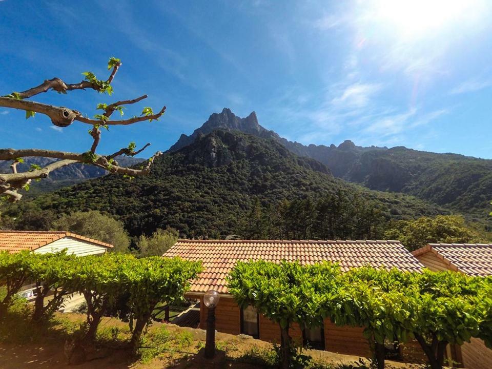 Camping Les Oliviers Porto  Eksteriør billede